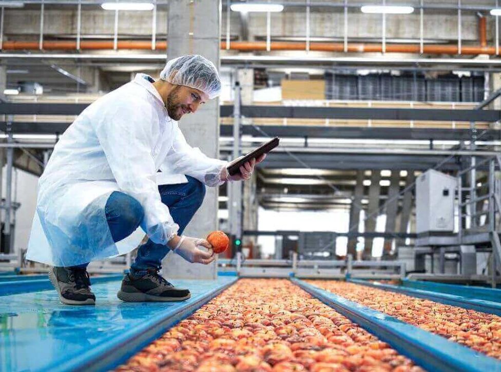 Plantas Alimentarias